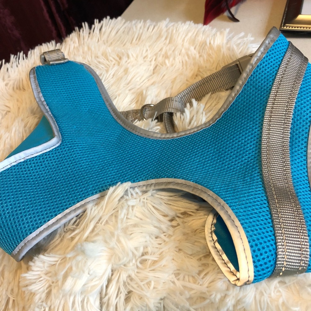 Harness dog nwot